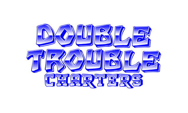 Double Trouble II