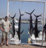 Manzanillo Sport Fishing