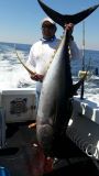 Manzanillo Sport Fishing