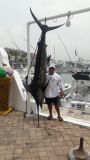 Manzanillo Sport Fishing